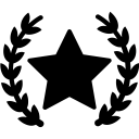 Star icon representing high quality